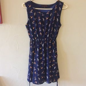 Navy blue humming bird summer dress